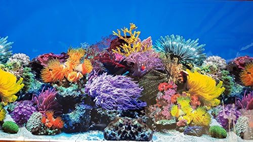 Карън Лоу Чисто Нова!! Фон за аквариум с височина 23 инча, Коралови и Сладководни растения, Декорации Джунглата (60 см (L) x 23 инча (H))